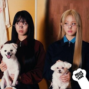 로또 방송시간 관련 기사 이미지